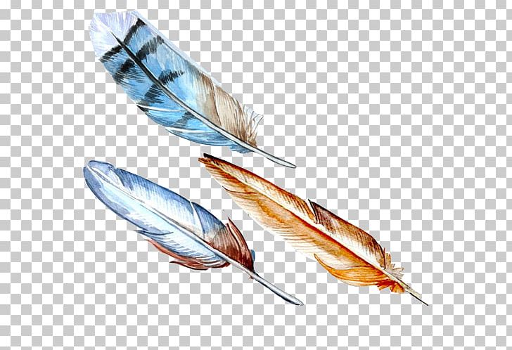 Bird Feather Watercolor Painting PNG, Clipart, Animals, Arrow, Bird Feathers, Color, Colored Free PNG Download
