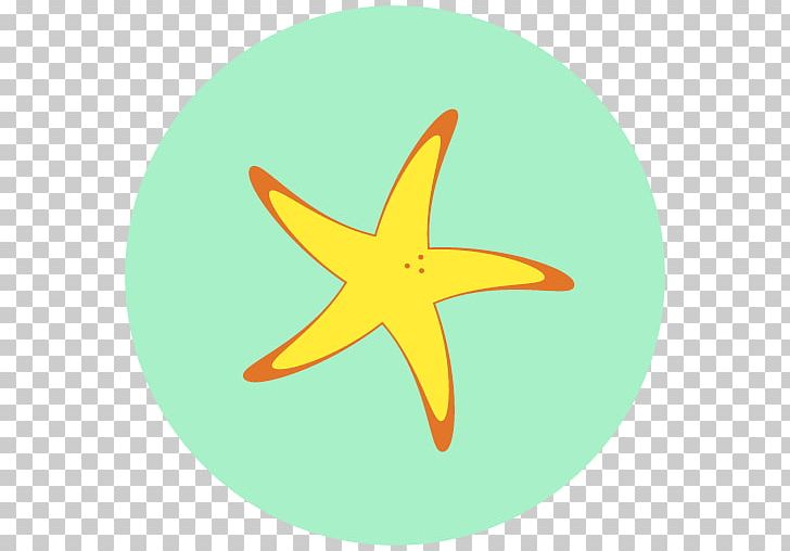 Hotel Starfish Beach PNG, Clipart, Accommodation, Beach, Echinoderm, Hotel, Invertebrate Free PNG Download