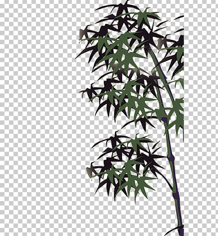Bamboo Ink Bamboe PNG, Clipart, Angle, Autumn Leaves, Bamboe, Bamboo, Banana Leaves Free PNG Download