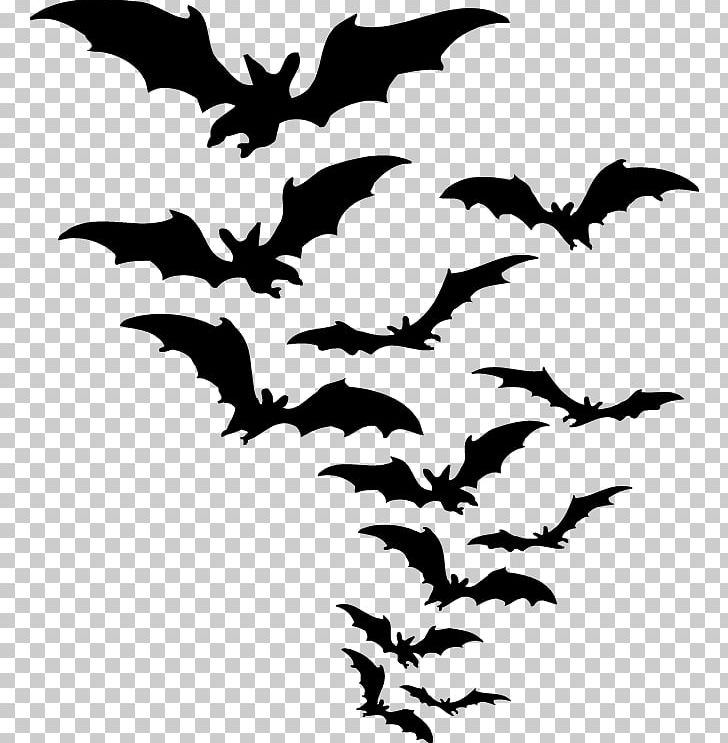 Bat PNG, Clipart, Bat Free PNG Download