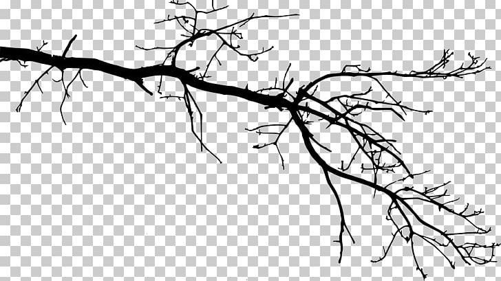 Branch Tree Drawing Twig Leaf PNG, Clipart, Art, Artwork, Black And ...