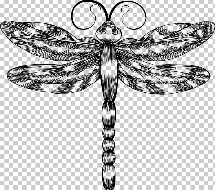Butterfly Insect Computer Graphics PNG, Clipart, Arthropod, Black And White, Body Jewelry, Butterflies And Moths, Butterfly Free PNG Download