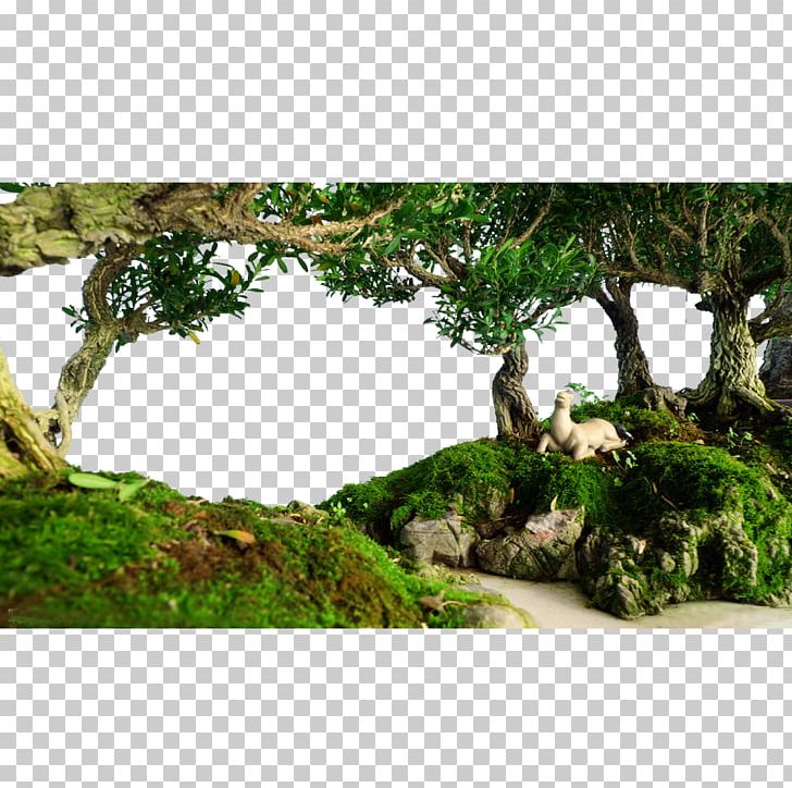ICO Icon PNG, Clipart, Biome, Branch, Camera Lens, Church, Church Hill Reef Scenery Free PNG Download
