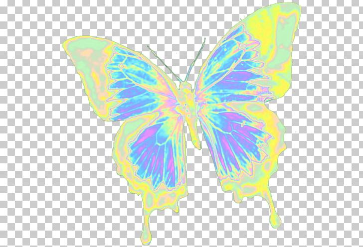 Monarch Butterfly Brush-footed Butterflies Symmetry Fairy PNG, Clipart, Arthropod, Brush Footed Butterfly, Butterfly, Fairy, Insect Free PNG Download