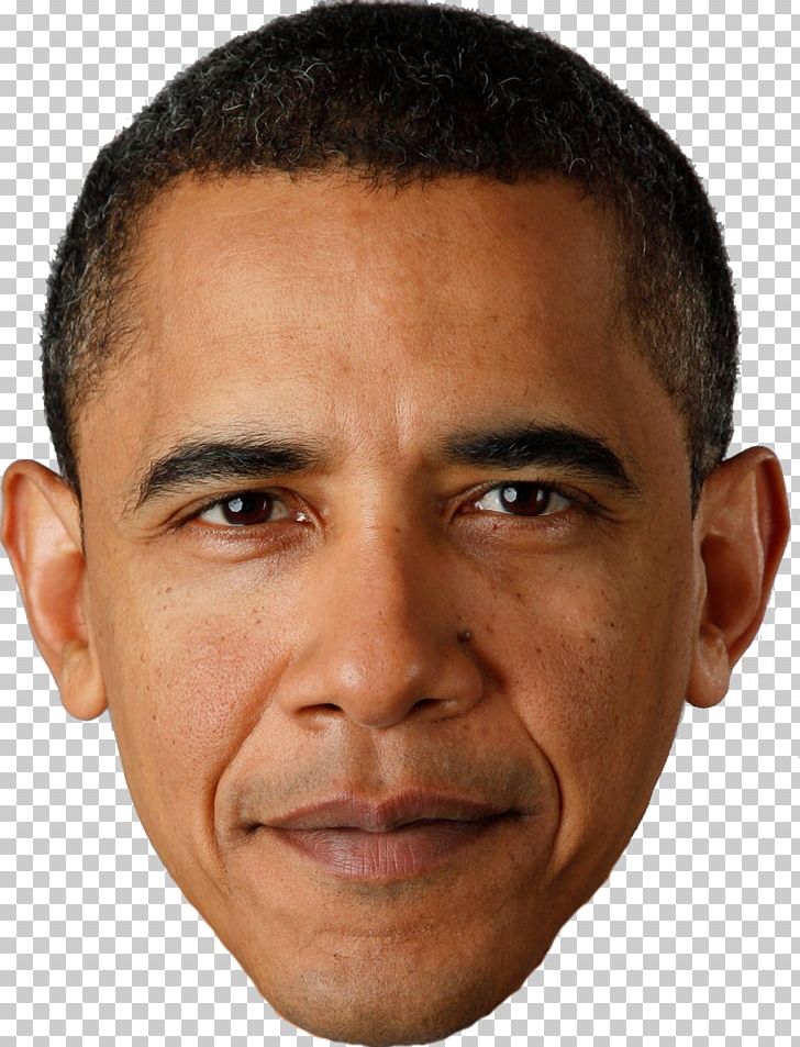 Barack Obama 2009 Presidential Inauguration Illinois President Of The United States Public Of Barack Obama PNG, Clipart, Ann Dunham, Barack Obama, Celebrities, Cheek, Chin Free PNG Download