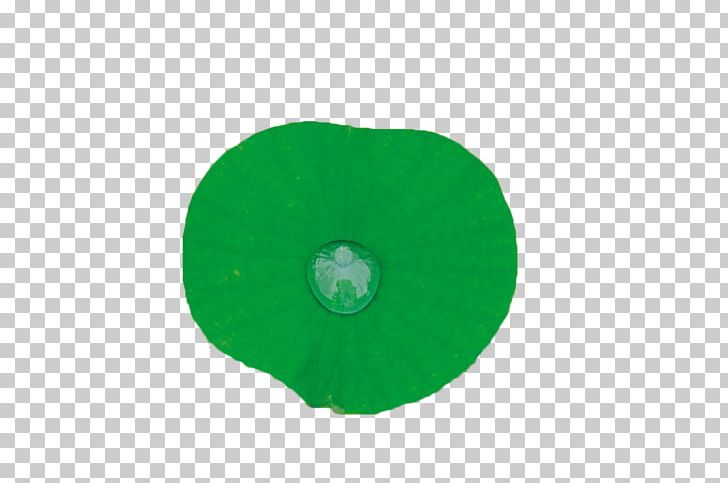 Green Leaf Circle PNG, Clipart, Animals, Background Green, Beach, Circle, Deer Free PNG Download