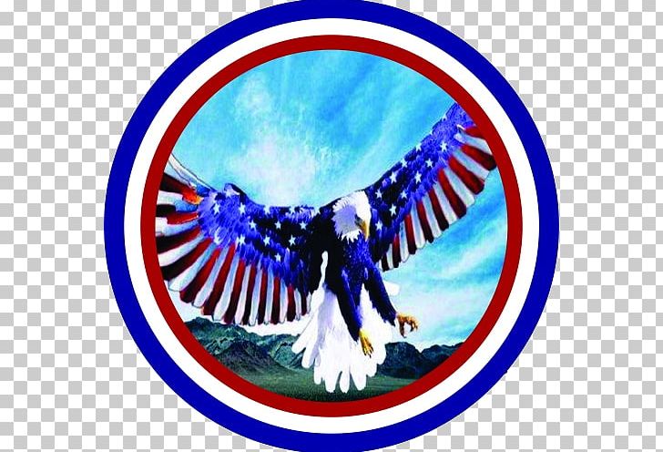 Bald Eagle Golden Eagle United States Jeep PNG, Clipart, 2006 Jeep Wrangler, Animals, Bald Eagle, Beak, Bird Free PNG Download