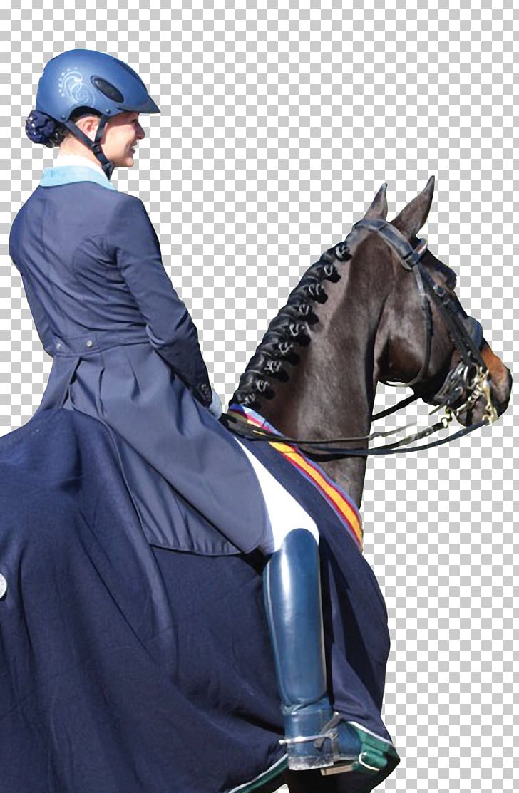 Horse Dressage Equestrian Helmets UVEX PNG, Clipart, Animals, Bit, Bridle, Costume, Dressage Free PNG Download