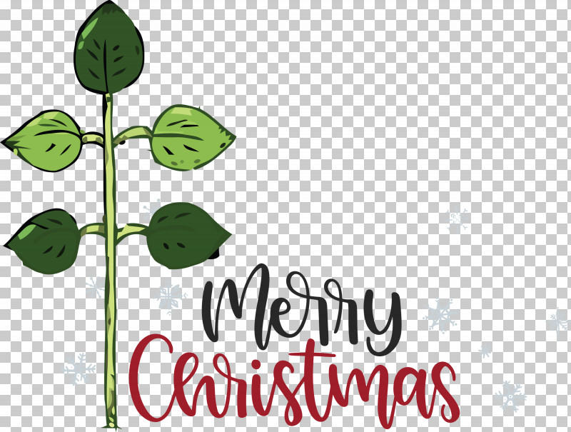 Merry Christmas PNG, Clipart, Flower, Green, Leaf, Logo, Merry Christmas Free PNG Download