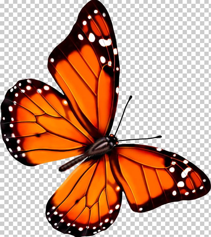 Butterfly Transparency And Translucency Icon PNG, Clipart, 3d Computer Graphics, Arthropod, Brush Footed Butterfly, Butterflies, Butterfly Group Free PNG Download