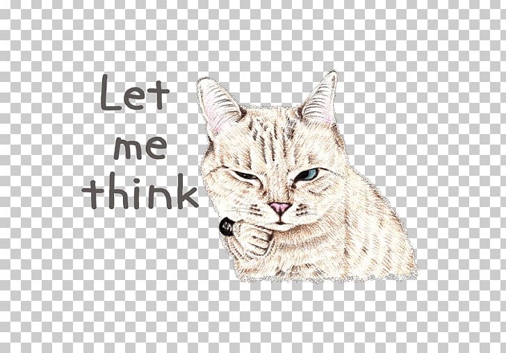 American Shorthair European Shorthair Pixie-bob California Spangled Ocicat PNG, Clipart, American Shorthair, Animal, Animals, Asian, Carnivoran Free PNG Download