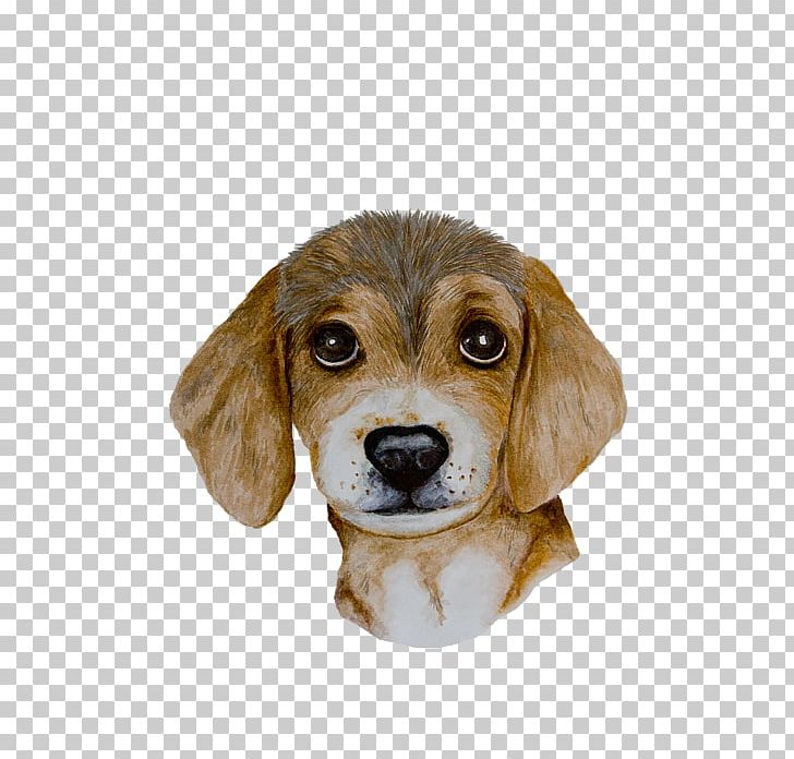 Beagle Harrier Puppy Dog Breed Companion Dog PNG, Clipart, Animals, Beagle, Beagle Puppy, Breed, Carnivoran Free PNG Download