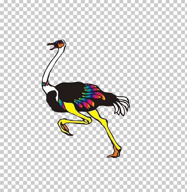 Common Ostrich Birds And People Flamingos Pelican PNG, Clipart, Animal, Animals, Athlete Running, Athletics Running, Beak Free PNG Download