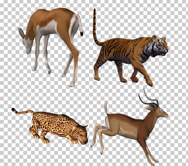 Lion Tiger GIMP PNG, Clipart, Animal, Animal Figure, Animals, Big Cats, Carnivoran Free PNG Download
