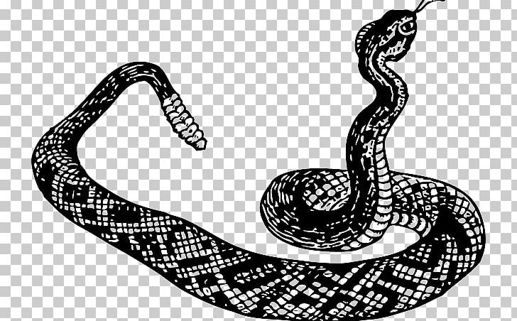 Rattlesnake Vipers Reptile PNG, Clipart, Black And White, Boa Constrictor, Boas, Cobra, Common European Viper Free PNG Download