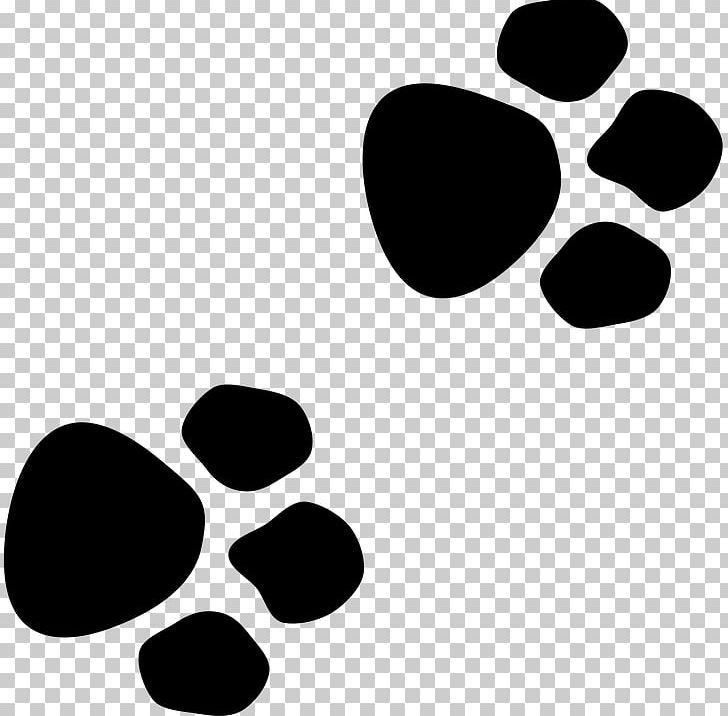 Wildcat Dog Paw Bear PNG, Clipart, Animal, Animals, Animal Track, Bear, Bear Paw Free PNG Download
