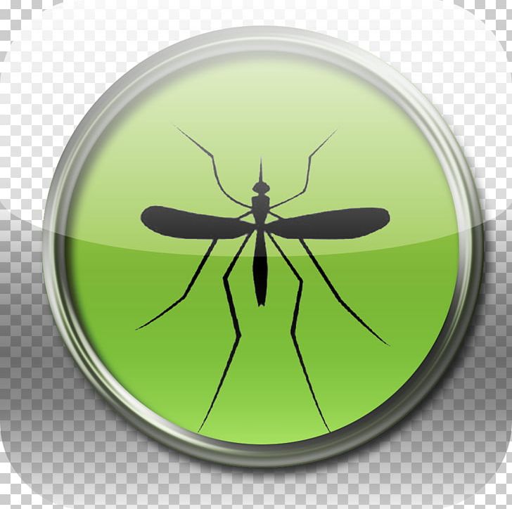 Insect Mosquito Pest Invertebrate ASEAN Declaration PNG, Clipart, Animal, Arthropod, Asean Declaration, Fly, Insect Free PNG Download