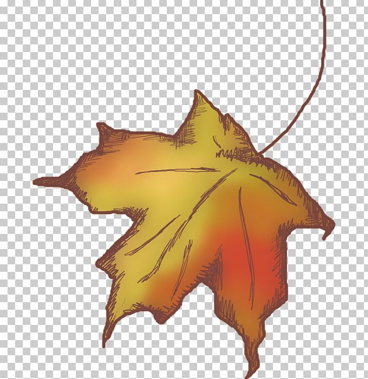 Maple Leaf Deciduous PNG, Clipart, Deciduous, Flowering Plant, Leaf, Maple, Maple Leaf Free PNG Download