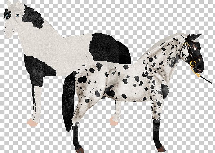 Stallion Mustang Mare Pony Halter PNG, Clipart, Animal Figure, Breed, Colt, Colts Manufacturing Company, Dog Free PNG Download