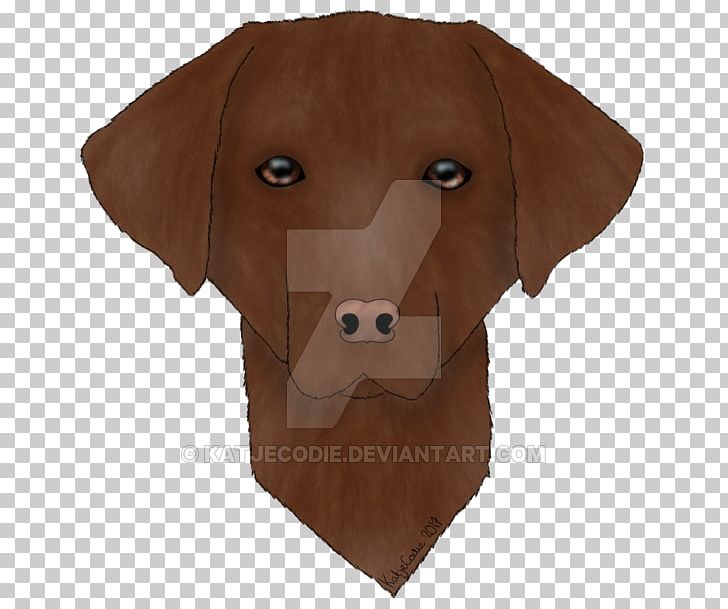 Dog Stuffed Animals & Cuddly Toys Snout PNG, Clipart, Carnivoran, Chocolate Labrador, Dog, Dog Like Mammal, Snout Free PNG Download