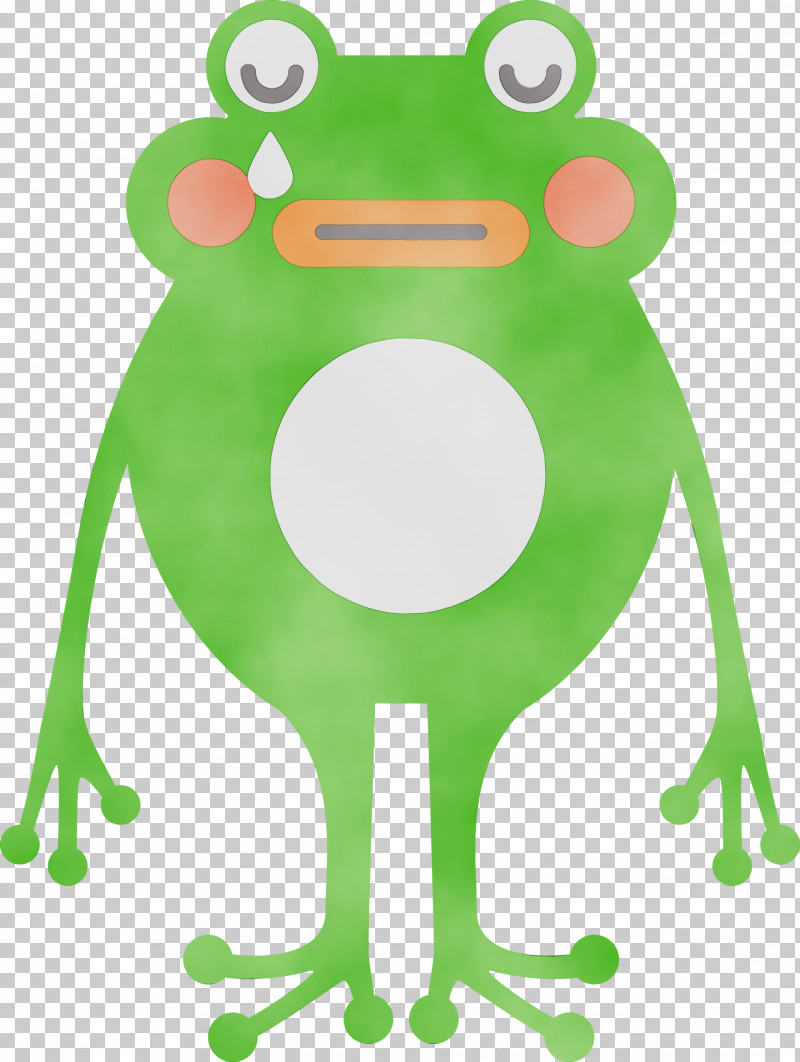 Tree Frog Cartoon Frogs Toad Green PNG, Clipart, Biology, Cartoon, Frog, Frogs, Green Free PNG Download