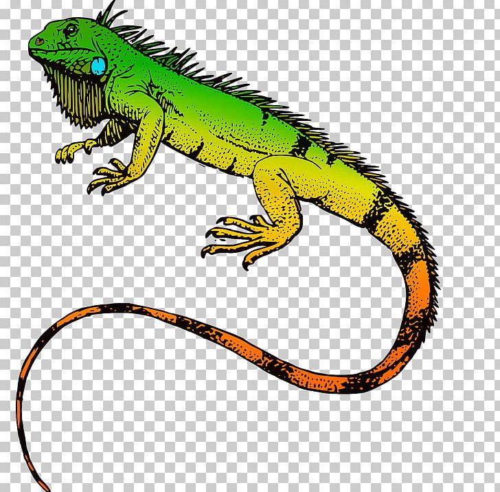 Green Iguana T-shirt Reptile Sticker Lizard PNG, Clipart, Agamidae, Amphibian, Animal Figure, Animals, Bumper Sticker Free PNG Download