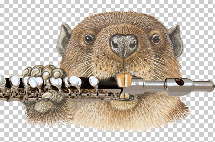 North American Beaver Rodent Drawing Photography PNG, Clipart, Animal, Animals, Aquatic Mammal, Beaver, Drawing Free PNG Download