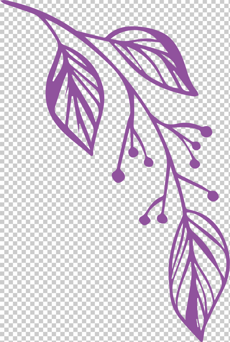 Simple Leaf Simple Leaf Drawing Simple Leaf Outline PNG, Clipart, Area, Leaf, Line, Line Art, Petal Free PNG Download