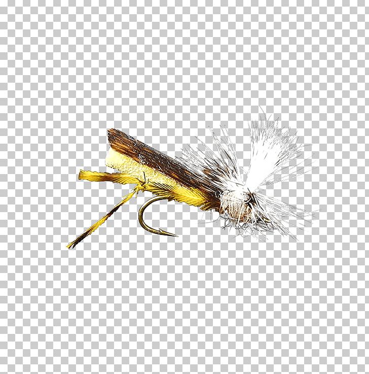 Artificial Fly Hackles Insect Holly Flies PNG, Clipart, Artificial Fly, B H Photo Video, Donkey Stone, Fishing Bait, Fishing Lure Free PNG Download