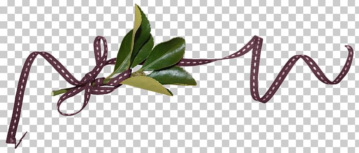 Cut Flowers Insect Leaf Plant Stem January 17 PNG, Clipart, 2015, Cut Flowers, Deco, Flower, Flowers Free PNG Download