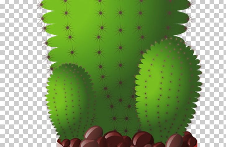 Happy Cactus: Cacti PNG, Clipart, Cactus, Caryophyllales, Computer Icons, Flower, Fruit Free PNG Download