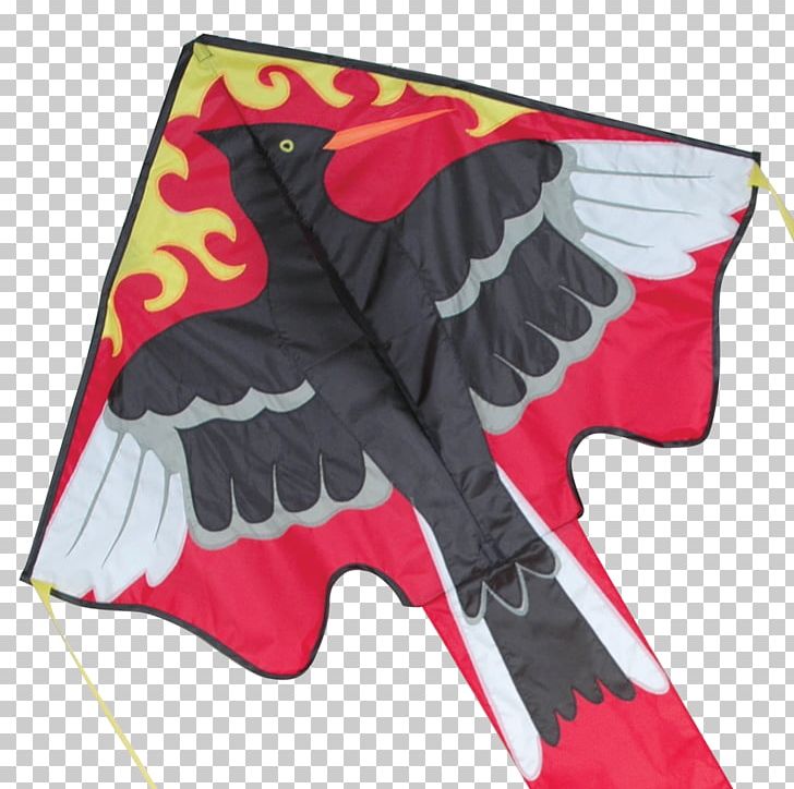 Kite St. Augustine Rebel & Bird Wind Sail PNG, Clipart, Bird, Dragon, Easy, Florida, Flyer Free PNG Download