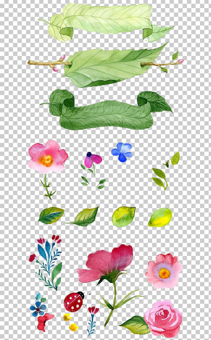 Watercolor Painting Flower Illustration PNG, Clipart, Art, Artwork, Border, Branch, Cartoon Free PNG Download