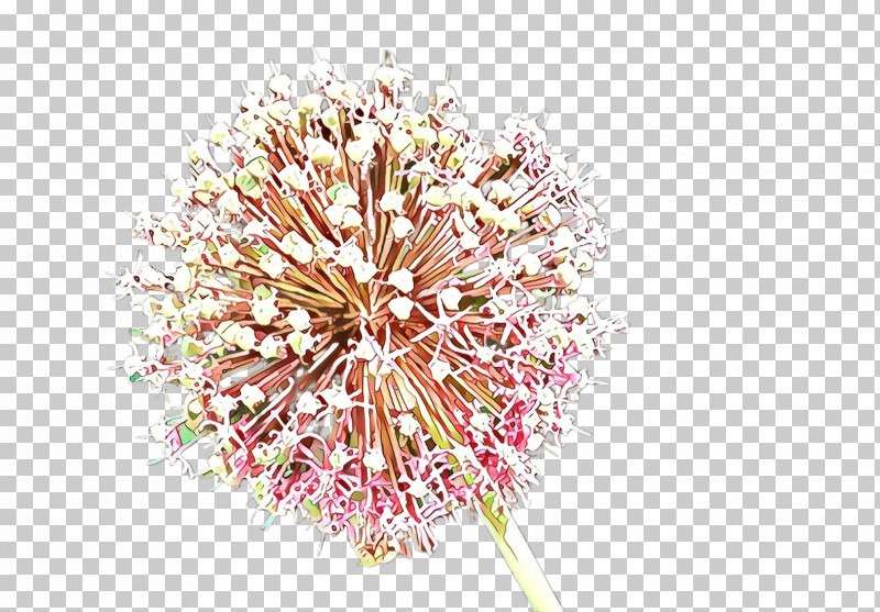 Pink Flower Plant Cut Flowers Allium PNG, Clipart, Allium, Cut Flowers, Dandelion, Flower, Perennial Plant Free PNG Download