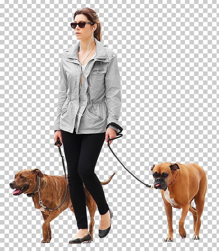 Dog Architecture Architectural Rendering PNG, Clipart, Animals, Architectural Rendering, Architecture, Cat People And Dog People, Dog Free PNG Download