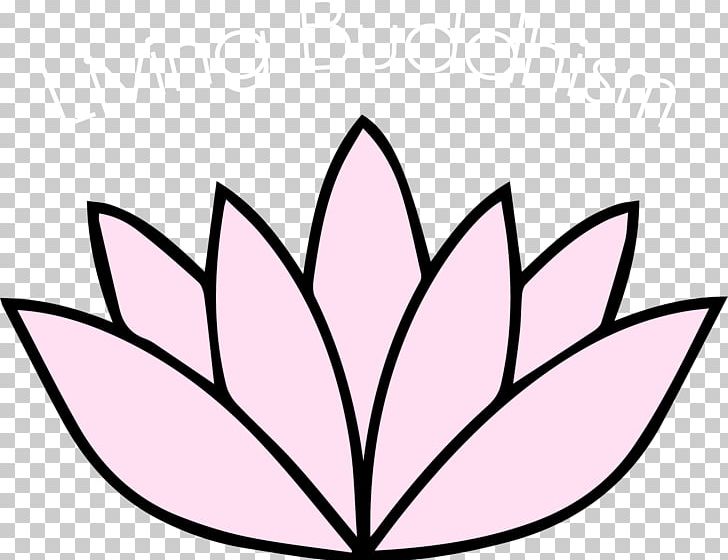 Drawing Nelumbo Nucifera Sketch PNG, Clipart, Area, Art, Art Museum, Artwork, Black And White Free PNG Download