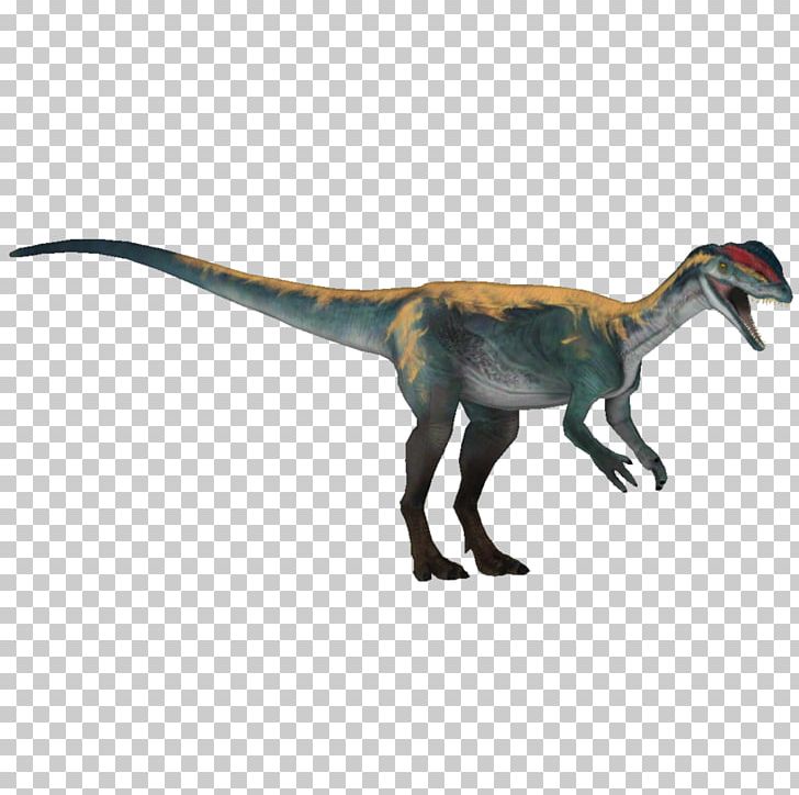 Velociraptor Dinosaur Feather Fauna Terrestrial Animal PNG, Clipart, Animal, Animal Figure, Carnage, Dinosaur, Extinction Free PNG Download