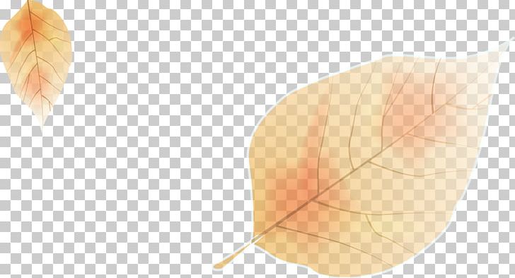 Leaf Angle PNG, Clipart, Angle, Autumn, Autumn Leaves, Autumn Vector, Balloon Cartoon Free PNG Download