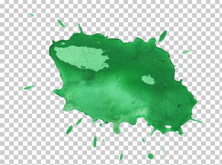 Watercolor Painting Photography PNG, Clipart, Art, Display Resolution, Green, Information, Leaf Free PNG Download