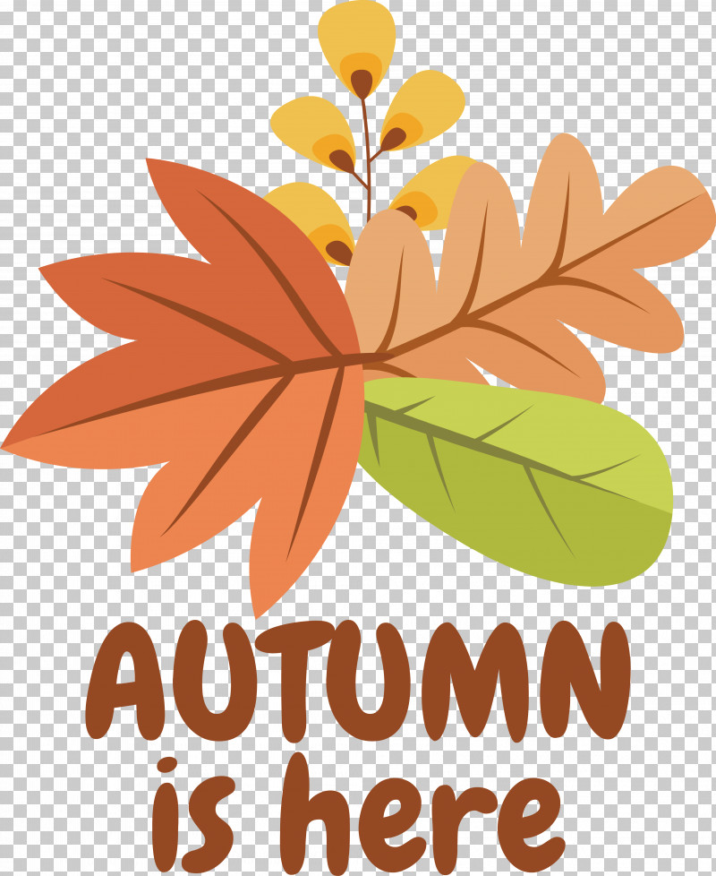 Icon Drawing Autumn Logo PNG, Clipart, Autumn, Drawing, Logo Free PNG Download