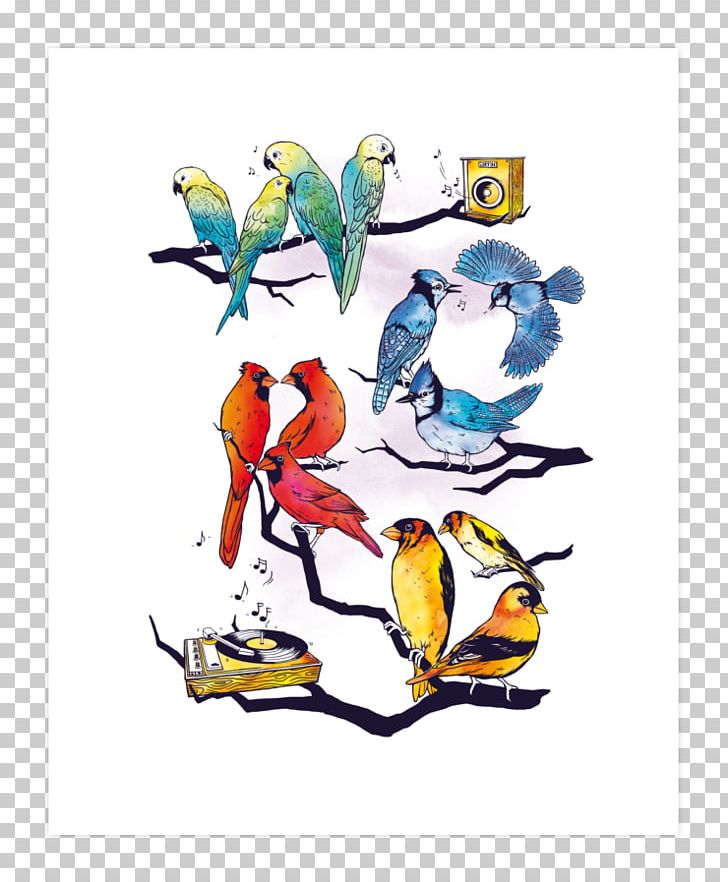 Beak Graphic Design Bird PNG, Clipart,  Free PNG Download
