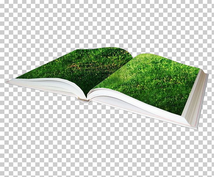 Grass Green Apple Green Tea PNG, Clipart, Art, Art Green, Background Green, Book, Books Free PNG Download
