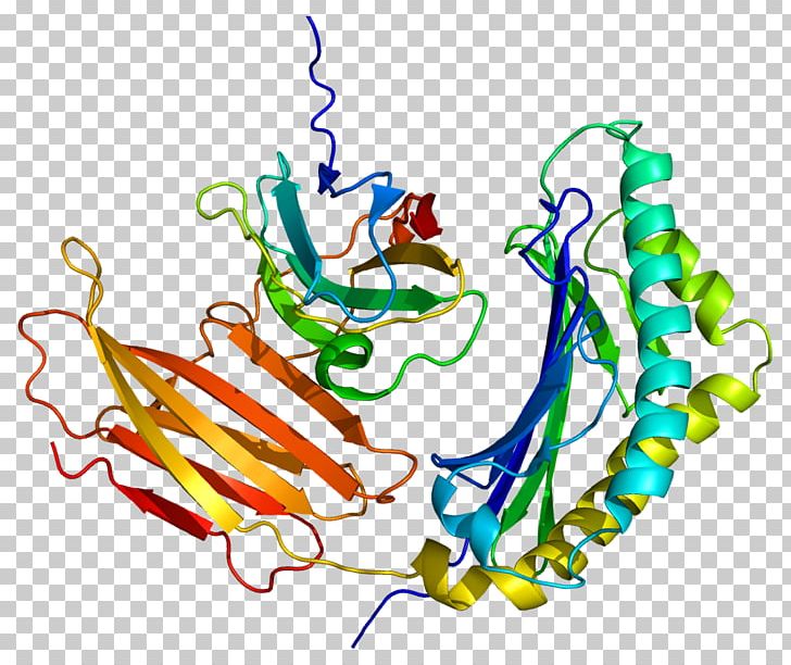 Prolactin-induced Protein Alpha-lactalbumin Casein PNG, Clipart, Alphalactalbumin, Aqp5, Area, Art, Artwork Free PNG Download
