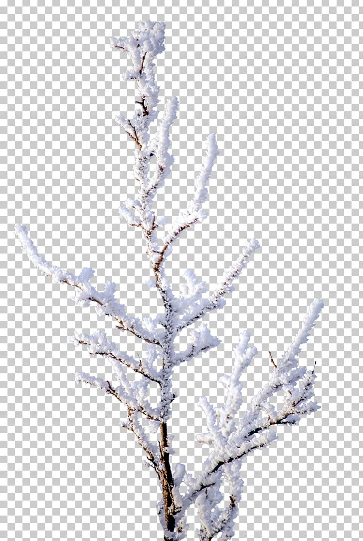 Snow PNG, Clipart, Black White, Branch, Branches, Cartoon, Clip Art Free PNG Download