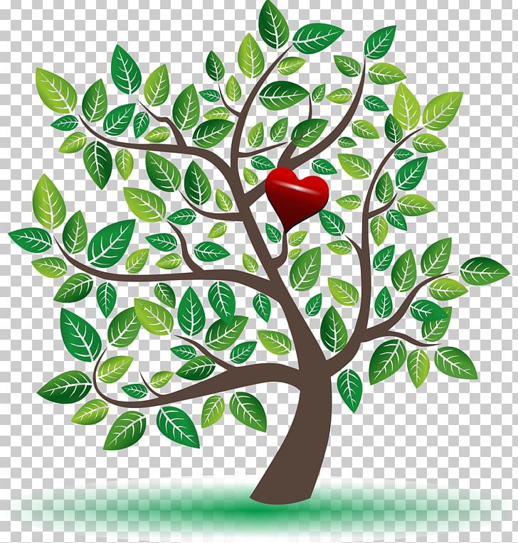 Tree Branch Leaf PNG, Clipart, Artwork, Branch, Color, Family Tree, Flowering Plant Free PNG Download