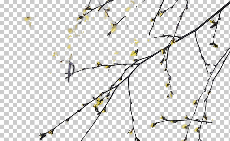 Vine PNG, Clipart, Branch, Drawing, Flower, Leaf, Line Art Free PNG Download