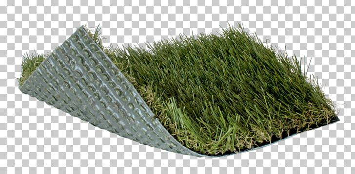 Artificial Turf Lawn Garden Golf Sod PNG, Clipart, Artificial Turf, Ball, Color, Crowngrass, Fescues Free PNG Download