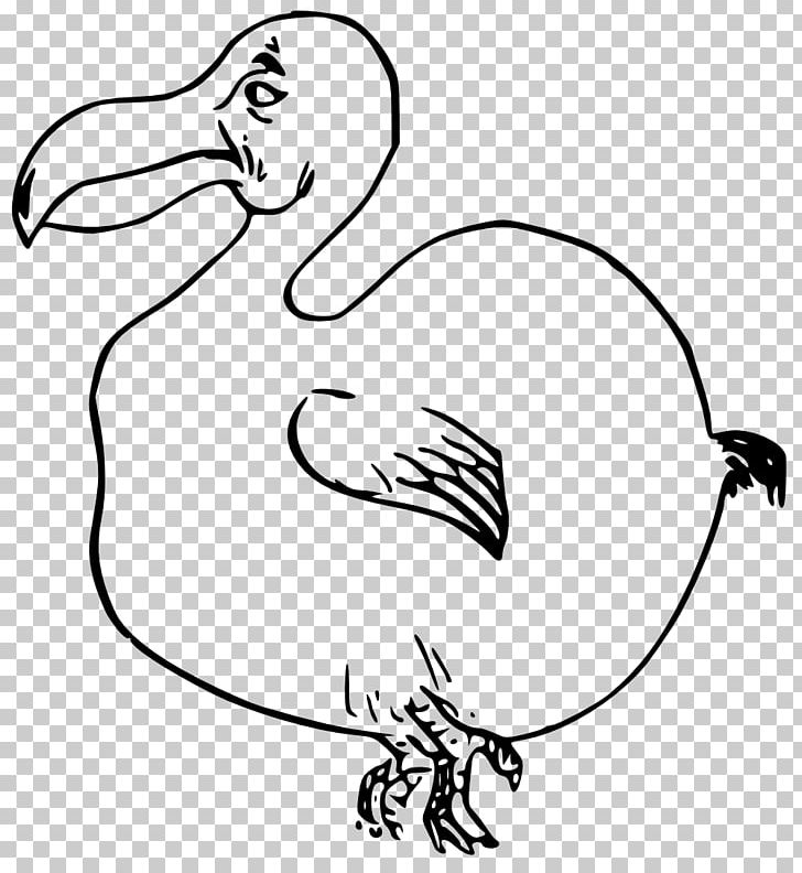 Bird Dodo PNG, Clipart, Animal, Animals, Area, Arm, Art Free PNG Download