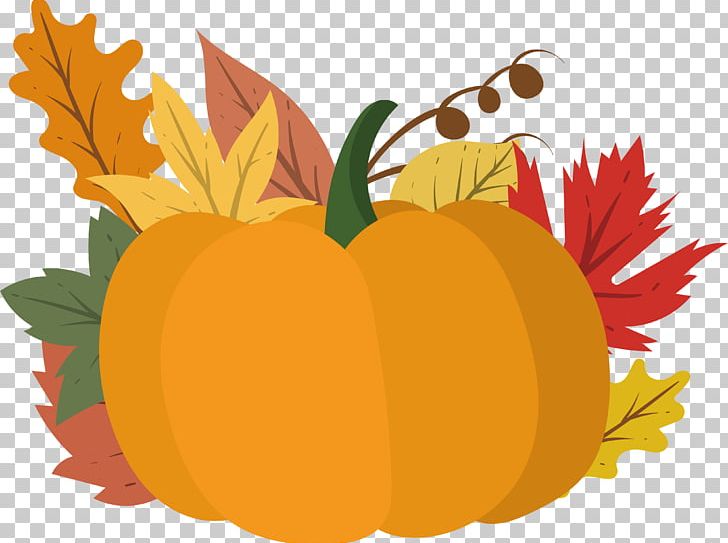 Calabaza Jack-o-lantern PNG, Clipart, Apple, Autumn Background, Autumn Leaf, Autumn Tree, Autumn Vector Free PNG Download