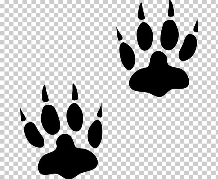 Bear Animal Track Paw Cat PNG, Clipart, Animal, Animal Track, Badger, Bear, Black Free PNG Download